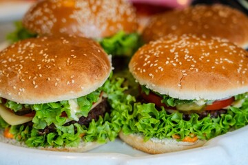 Preparing cheeseburger or hamburger with vegetables and meat. Homemade food or restaurant