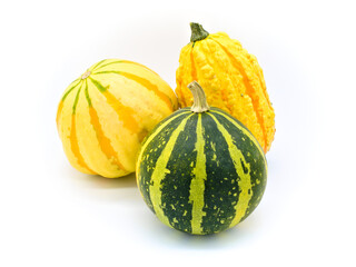 Few tiny pumpkins of different varieties on a white background