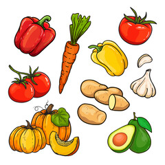 set of vegetables in doodle style. Hand drawn vegetables with pumpkin, potatoes, garlic, carrot, peppers, tomatoes. Sketch of a vegetable. Vector illustration