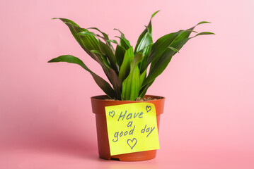 Potted plant with inspirational note on pink background