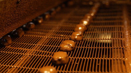 Special equipment at a large chocolate factory.