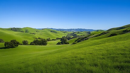 Obraz premium A serene landscape of lush green rolling hills under a clear blue sky, inviting tranquility and peace