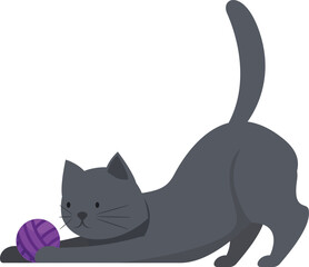 Playful grey cat is stretching its body and getting ready to play with a purple yarn ball © nsit0108