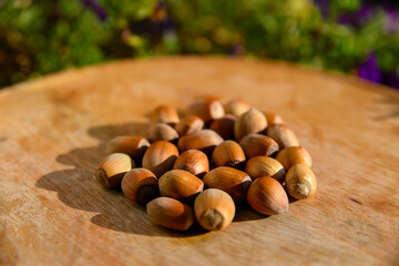 Hazelnuts have a pleasantly sweet taste and come from the hazel tree.