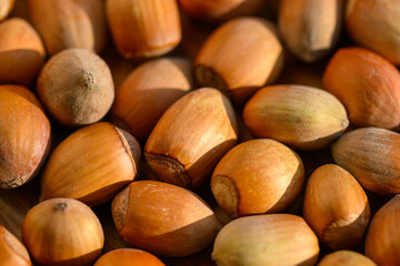 Hazelnuts have a pleasantly sweet taste and come from the hazel tree.