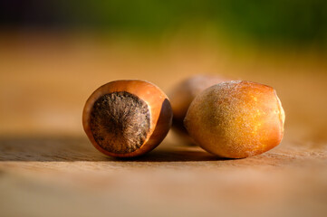 Hazelnuts have a pleasantly sweet taste and come from the hazel tree.