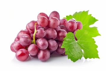 Fototapeta premium Fresh Red Grapes with Green Leaves - Still Life Photography