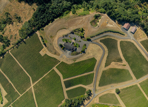 A view of a vineyard with a house in the middle
