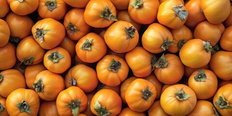 Bright Orange Persimmons in Abundance
