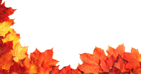 border frame of colorful autumn leaves isolated on white, autumn season concept background.