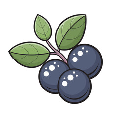 Blueberry Vector clip art illustration  file.