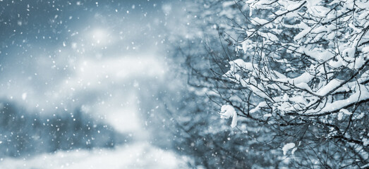 winter landscape with snow-covered trees on both sides of the road and cloudy sky during snowfall