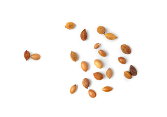 Argan Nuts Isolated, Argania Oil Seeds for Natural Organic Cosmetic, Skincare Argan Fruits