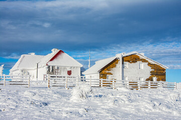 huge white icicles frozen winter world