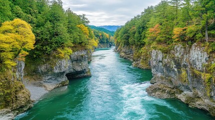 Naklejka premium A turquoise river flows through a narrow canyon, surrounded by lush green trees and rocky cliffs. The water is clear and the sky is cloudy.