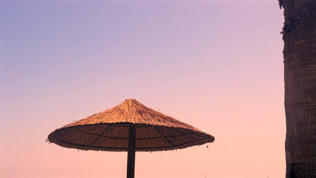 Tropical style sunshades and parasailing fun on beach holiday 