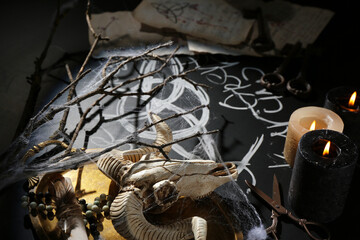 Witch's magic attributes with goat skull on dark background, closeup