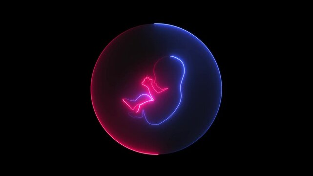 The future baby and a placenta in the uterus. Bright neon fetus baby icon in line style. Position of the baby on the mother's stomach. Animation of baby's initial position in mother's womb by neon 