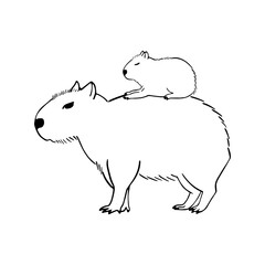 Capybara Mom and cute little Baby in sketch style. The largest rodent. Wildlife animal outline vector illustration