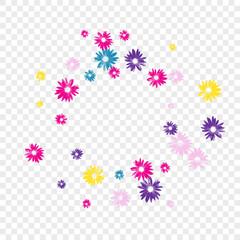 Summer_Colorfull_Flowers_Transparent_Background_274.eps