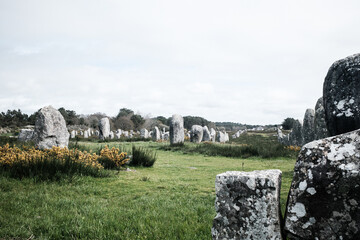 Stone rows of Carnac
