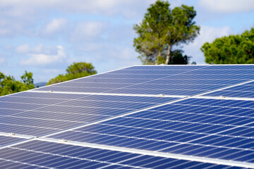solar panels on the roof, trees behind, power, photovoltaic, electricity, renewable