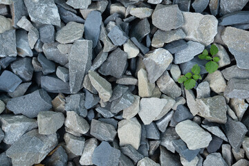Top view on different grey stones, small granite pebbles, variety of garden natural rock and green...