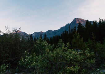 Lush green foliage in the foreground with towering mountains in the background, under a serene...