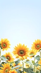 Obraz premium Bright Sunflower Garden Under Clear Blue Sky