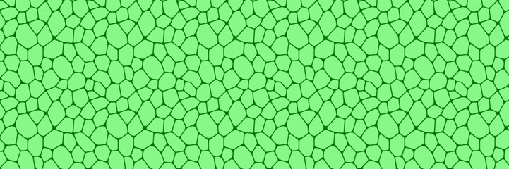 Plant cells template background vector illustration. Leaf structure wallpaper. Green plant chlorophyll texture for organic wallpapers, eco, agro and scientific design. seeds repeated backdrop