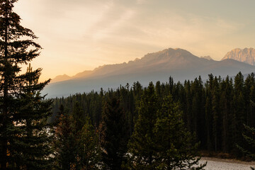 view of a valley in the mountains with a coniferous forest under the first rays of sunshine