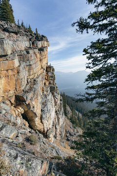 view of a rocky cliff with a tall pine tree next to a valley with a lake below and another mountain in the distance