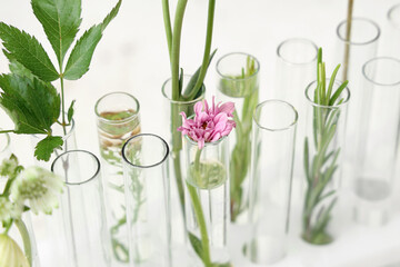 Different test tubes with herbs, flowers and plants on grunge beige background