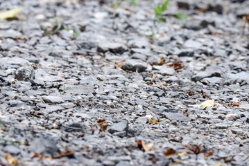 In selective focus a rough pathway,a pile of rocks on the ground floor for background texture 