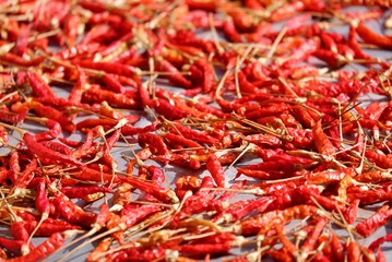 Fototapeta premium Close up a pile of red chilli on a tray and dry in a sun,outdoor space 
