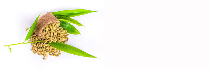 Green cardamom pods with seeds isolated on white background with copy space for text or images....