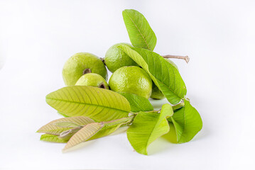 White background with guava leaves providing ample copy space image.