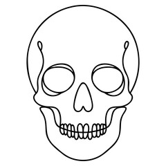 Vector of Skull Illustration Black and White