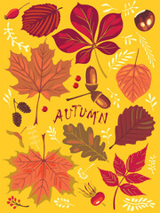 Autumn poster with falling leaves, seeds, acorns, nuts. Fall season elements perfect for scrapbook, card, poster, invitation, sticker kit. Handmade drawing vector realistic illustrations isolated.