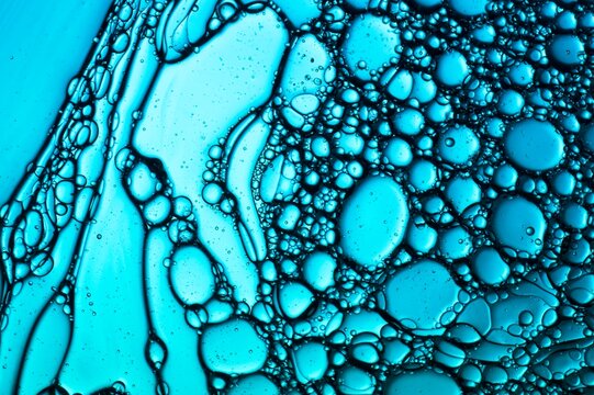 Blue turquoise cells of oil and water abstract - Powered by Adobe