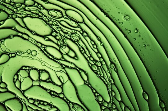 Lines of oil and water in green abstract