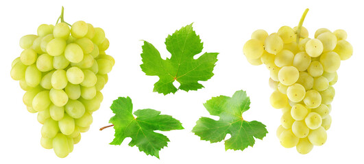 Collection of white grapes fruits and leaves cut out