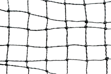 Transparent Black Net: A Visual Study in Texture and Form