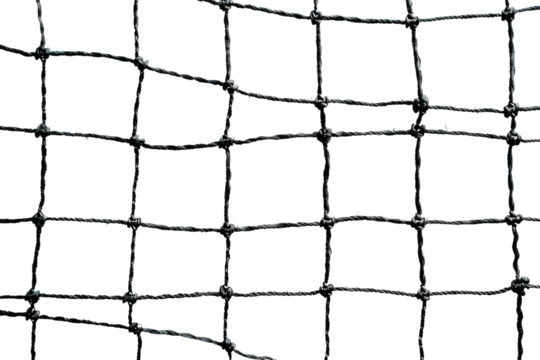 Transparent Black Net: A Visual Study in Texture and Form