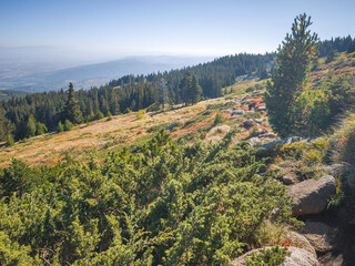 Autumn panorama of Vitosha Mountain, Bulgaria