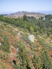 Autumn panorama of Vitosha Mountain, Bulgaria