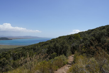 PAESAGGIO DI MARE