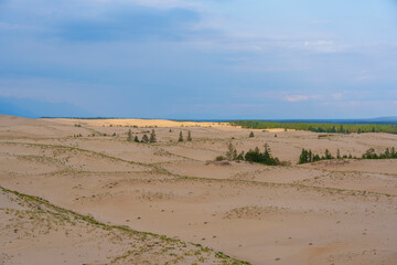 Expansive desert dunes under a dramatic sky with distant mountains