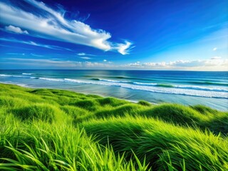 Lush Green Grass Meets the Tranquil Ocean Waves Under a Clear Blue Sky on a Sunny Day