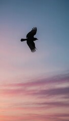 Obraz premium Bird in flight against pink and blue sky at sunset